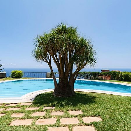 Vila Eucalipto By An Island Apart Фуншал Екстериор снимка